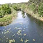 Bentwaters Park Farm TV and Film locations in Suffolk