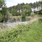 Bentwaters Park Farm TV and Film locations in Suffolk