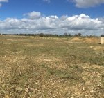 Stunt Areas and Back Lots at Bentwaters Parks