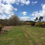 Stunt Areas and Back Lots at Bentwaters Parks